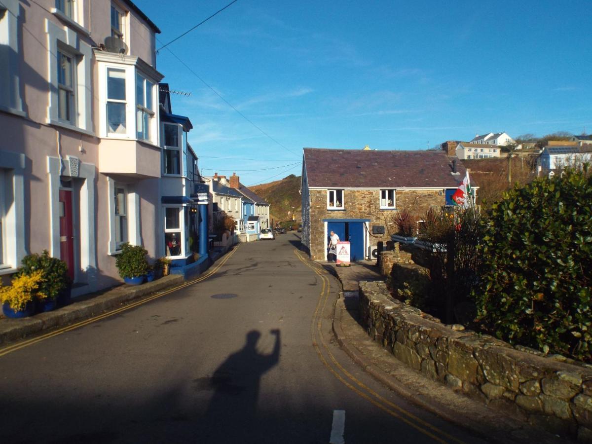 Pendyffryn Manor Bed & Breakfast Little Haven Exterior foto